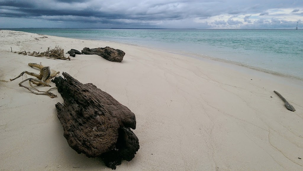 Mencari Manta dan Tukik di Pulau Sangalaki