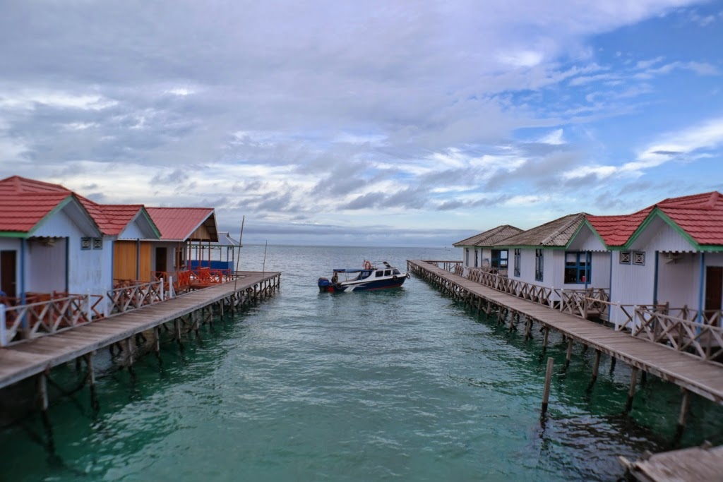 Petualangan Backpacker ke Pulau Derawan